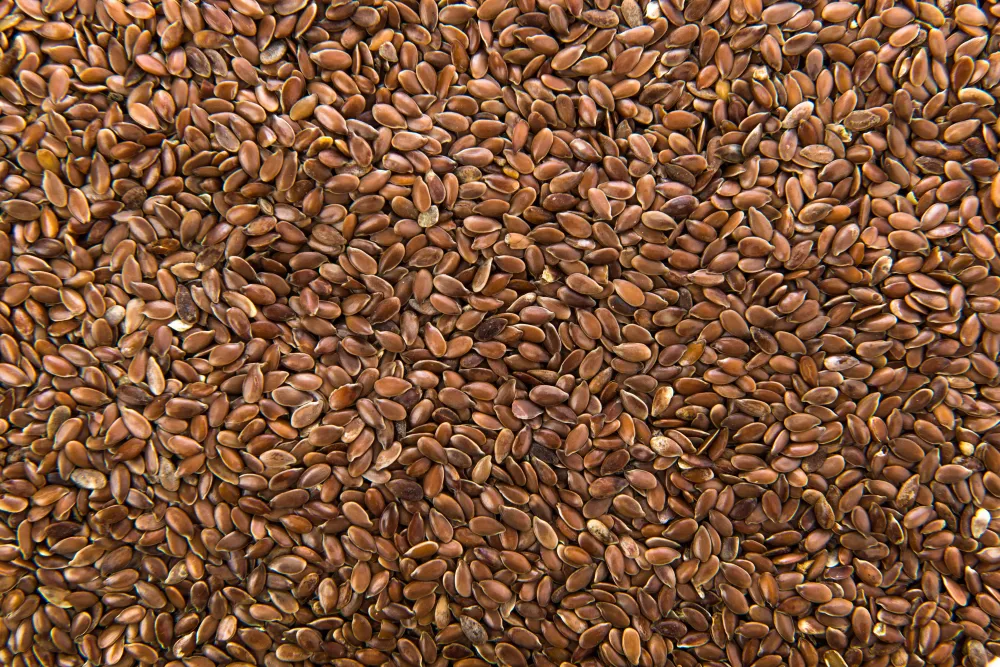 Flax Seed
